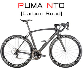 Puma N.T.O. Road Frame