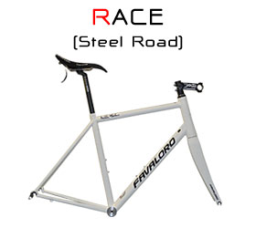 Race Road Frame